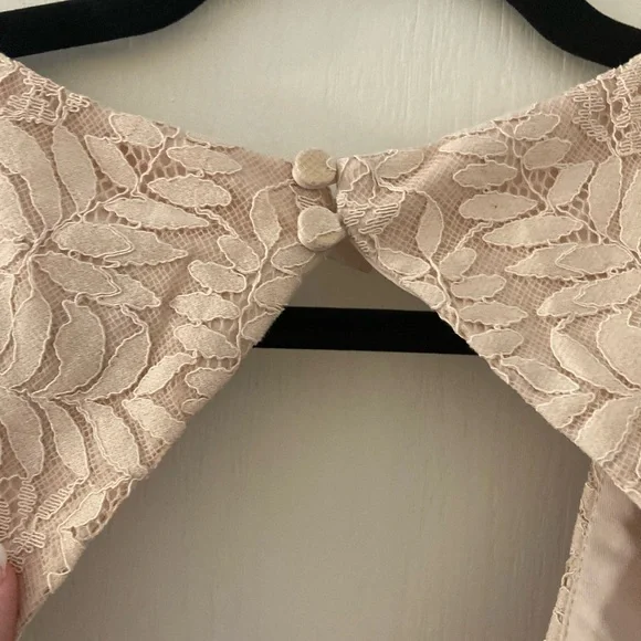 NWT Anthropologie Fame and Partners Sz 12 Blush Lace gown prom formal - Picture 7 of 7